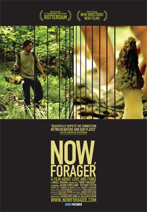 NF poster300p